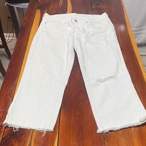 Signature by Levi Strauss White Cropped Jeans PP81